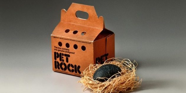 бизнес-идеи: Pet Rocks
